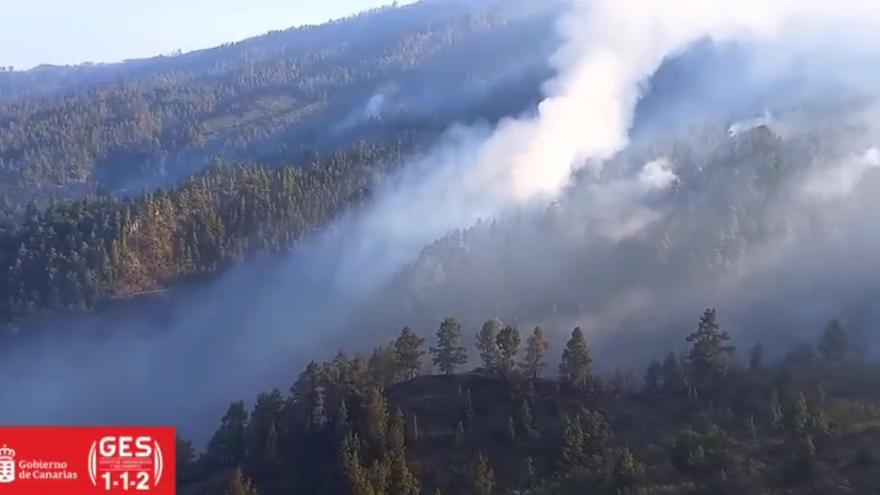 Incendio de La Palma, barranco Jieque