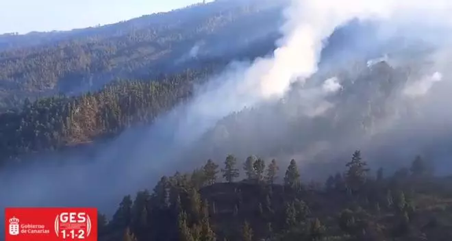 Incendio de La Palma, barranco Jieque