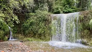 Cómo visitar la cascada de Molins de Rei que vuelve a tener agua tras las lluvias