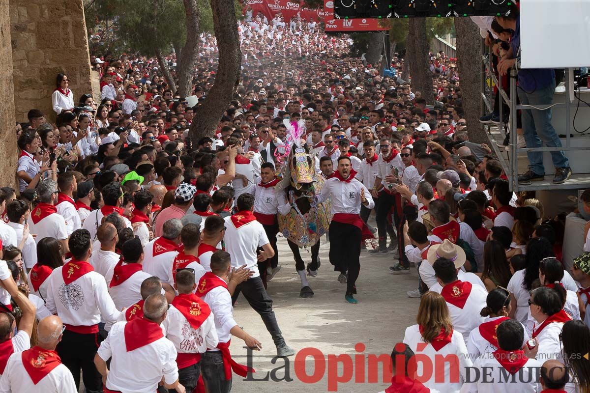 Así ha sido la carrera de los Caballos del Vino en Caravaca