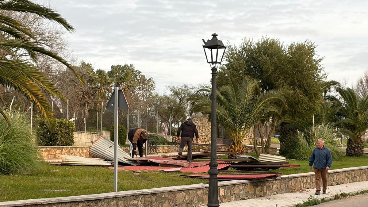 Video | La borrasca se ceba con Los Pinares de Garrovillas de Alconétar