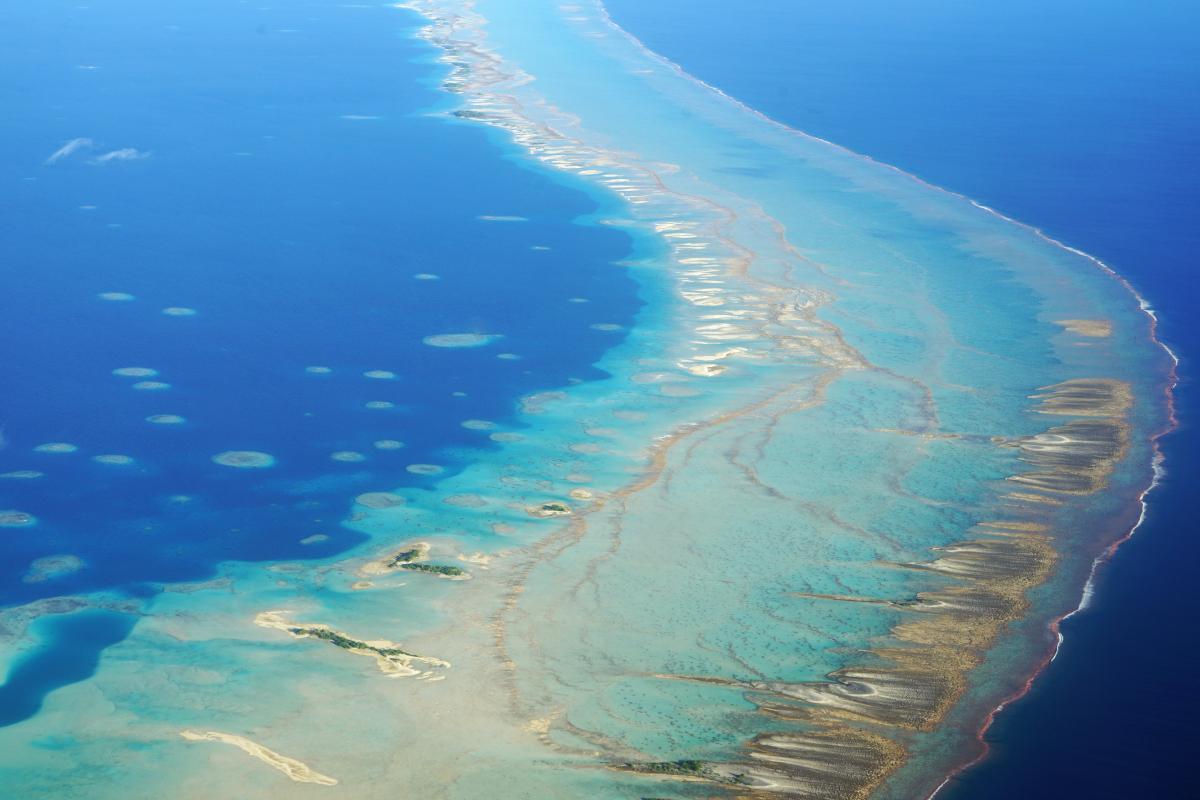 Tikehau.