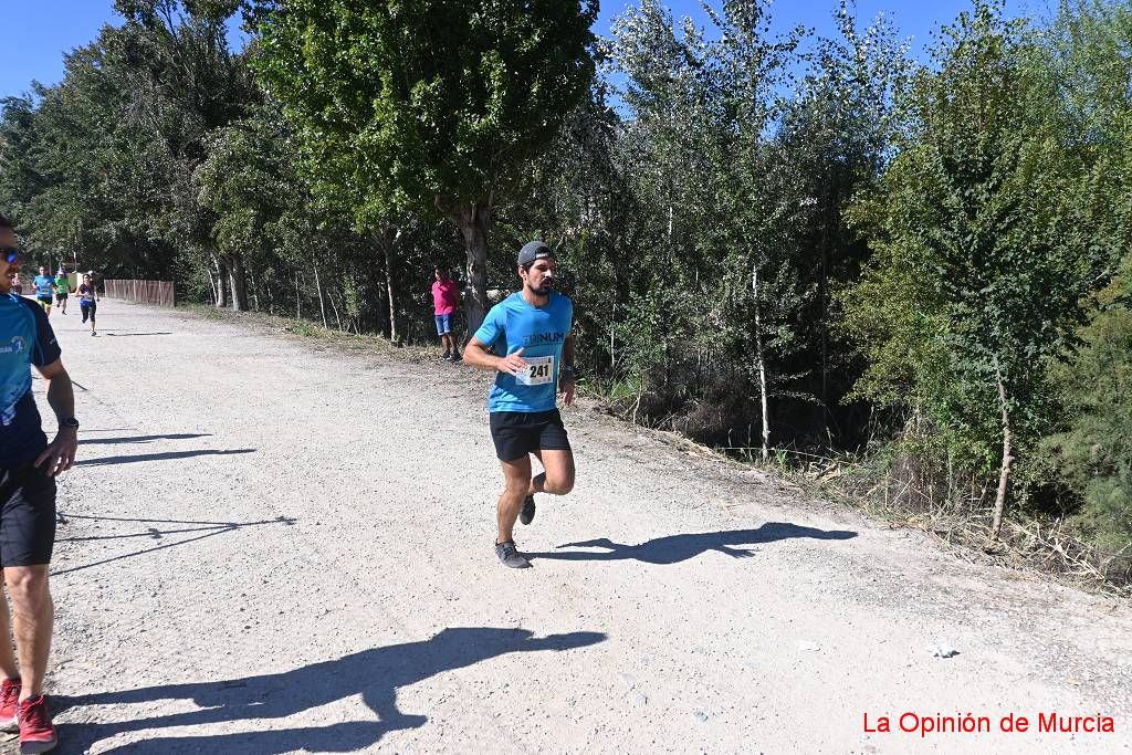 Ruta de las Norias de Abarán (2)