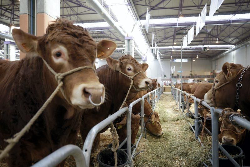 XIV Feria Internacional para la Producción Animal