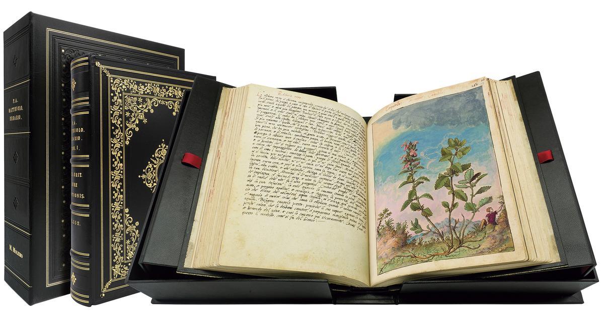 Dioscorides de Cibo y Mattioli - folios 158v - 159r Encinilla.