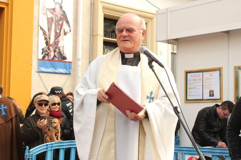 Bendición de San Antón en Murcia