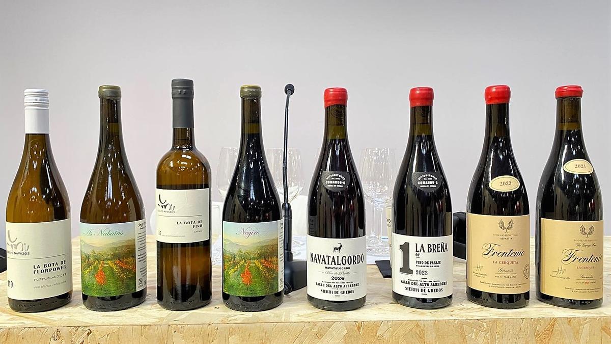 Vinos de las bodegas de 'outsiders' Equipo Navazos, Comando G, Jorge Olivera y Bodegas Frontonio.