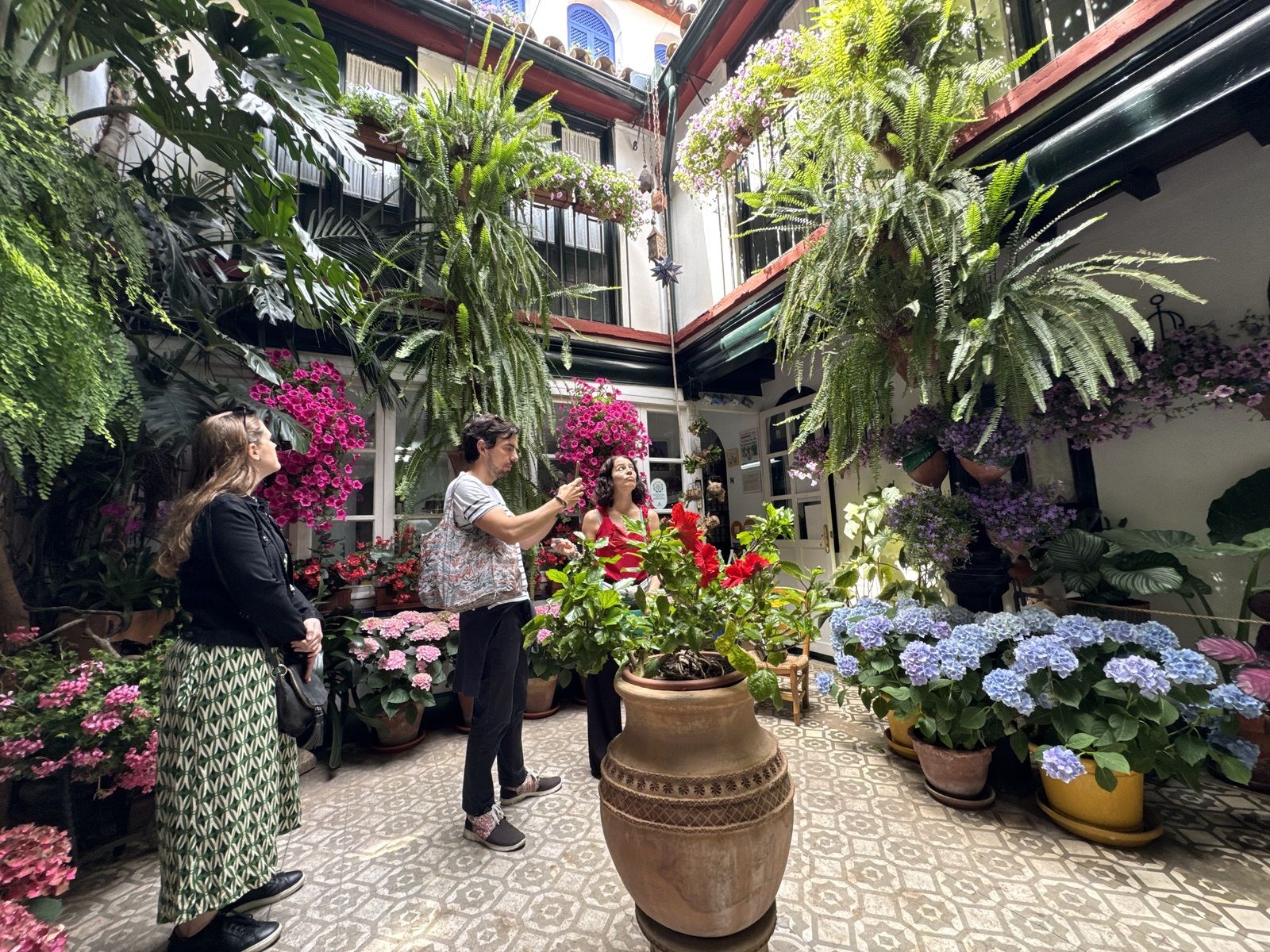 La Ruta 4 de los Patios de Córdoba, en imágenes