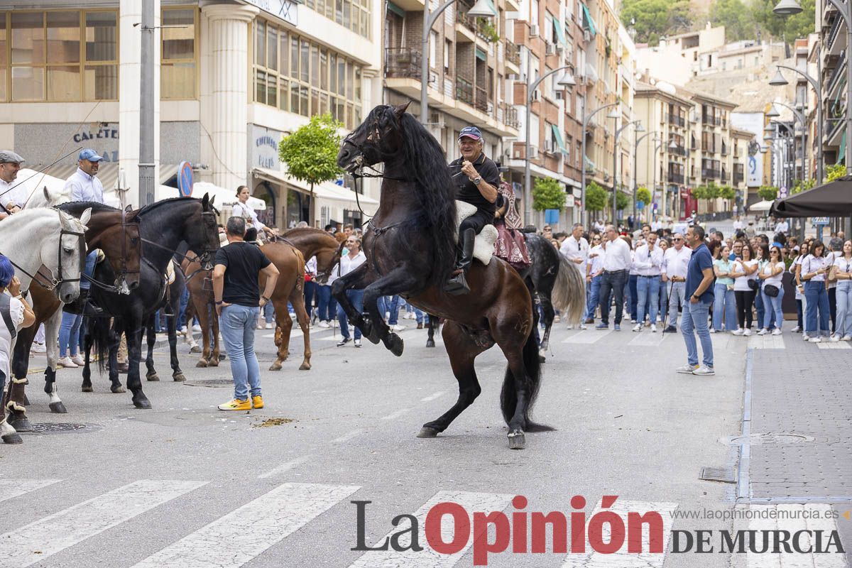 Romería de los Caballos del Vino de Caravaca, en imágenes