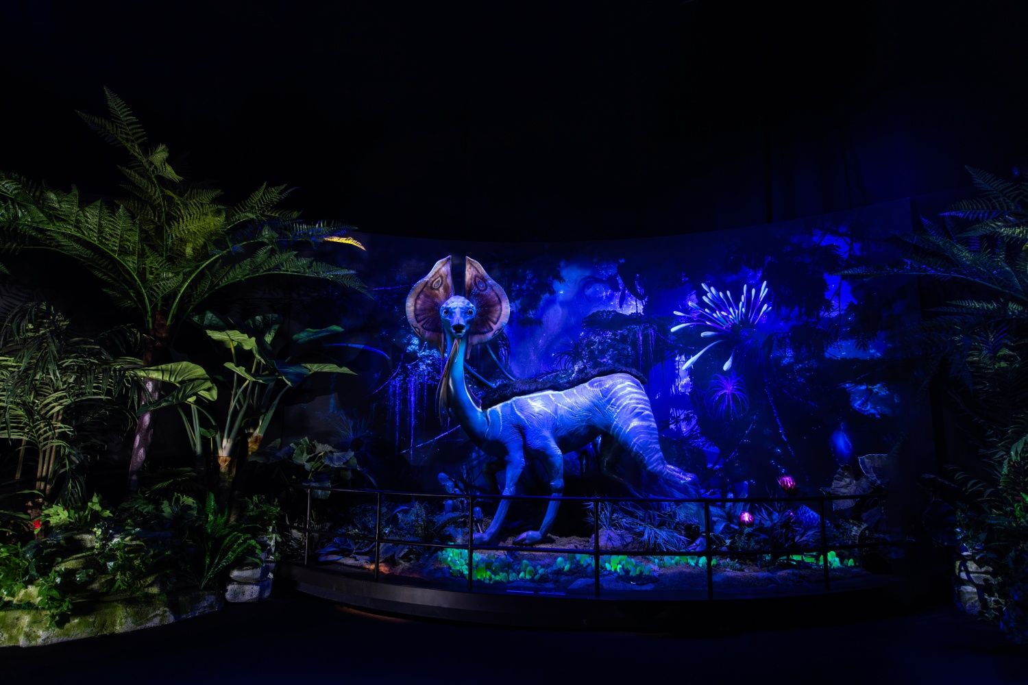 Avatar The Experience es una exposición que puedes vivir ahora en Madrid.