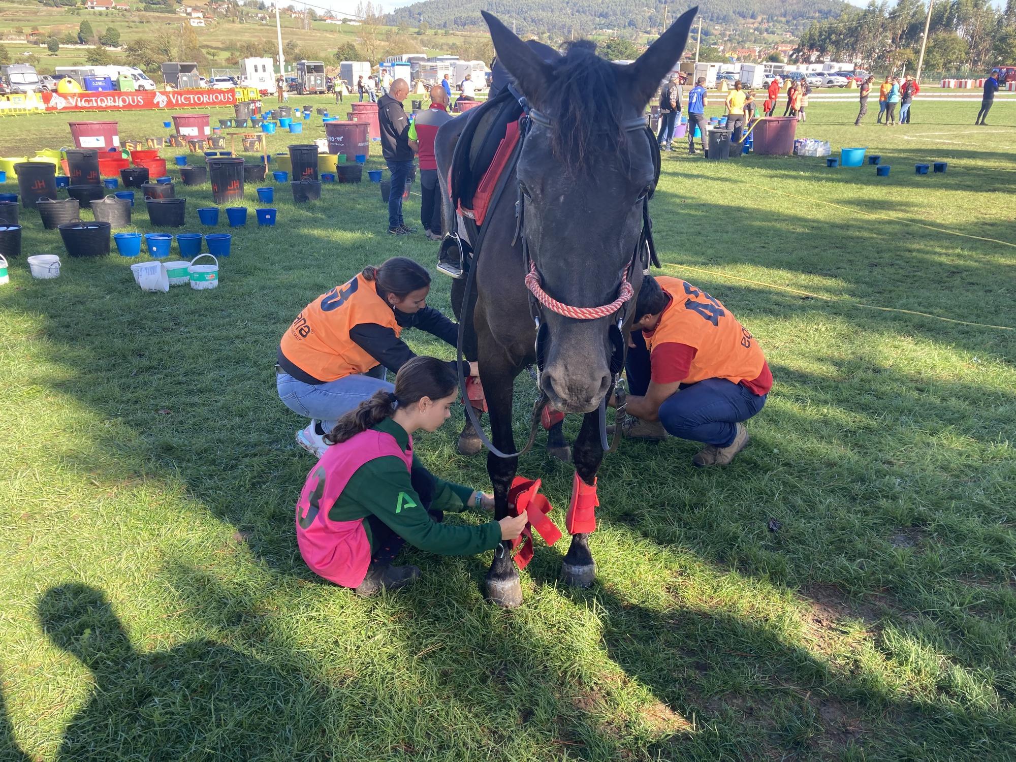 Llanera se llena de caballos con el campeonato de España de Raid Interautonomías