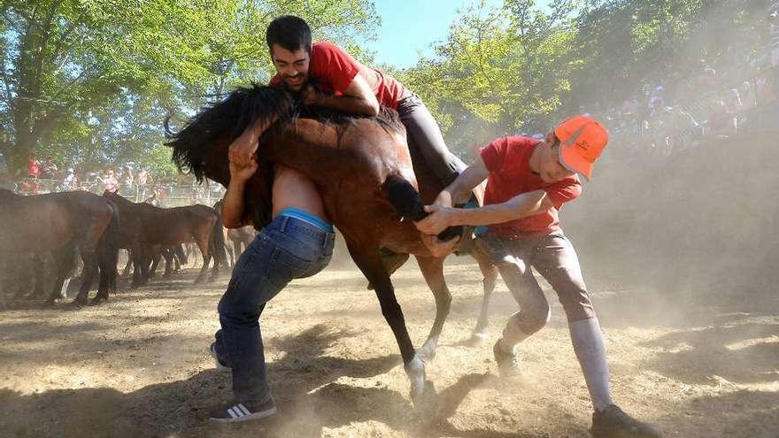 Un momento del curro de San Ramón del pasado año. // Gustavo Santos