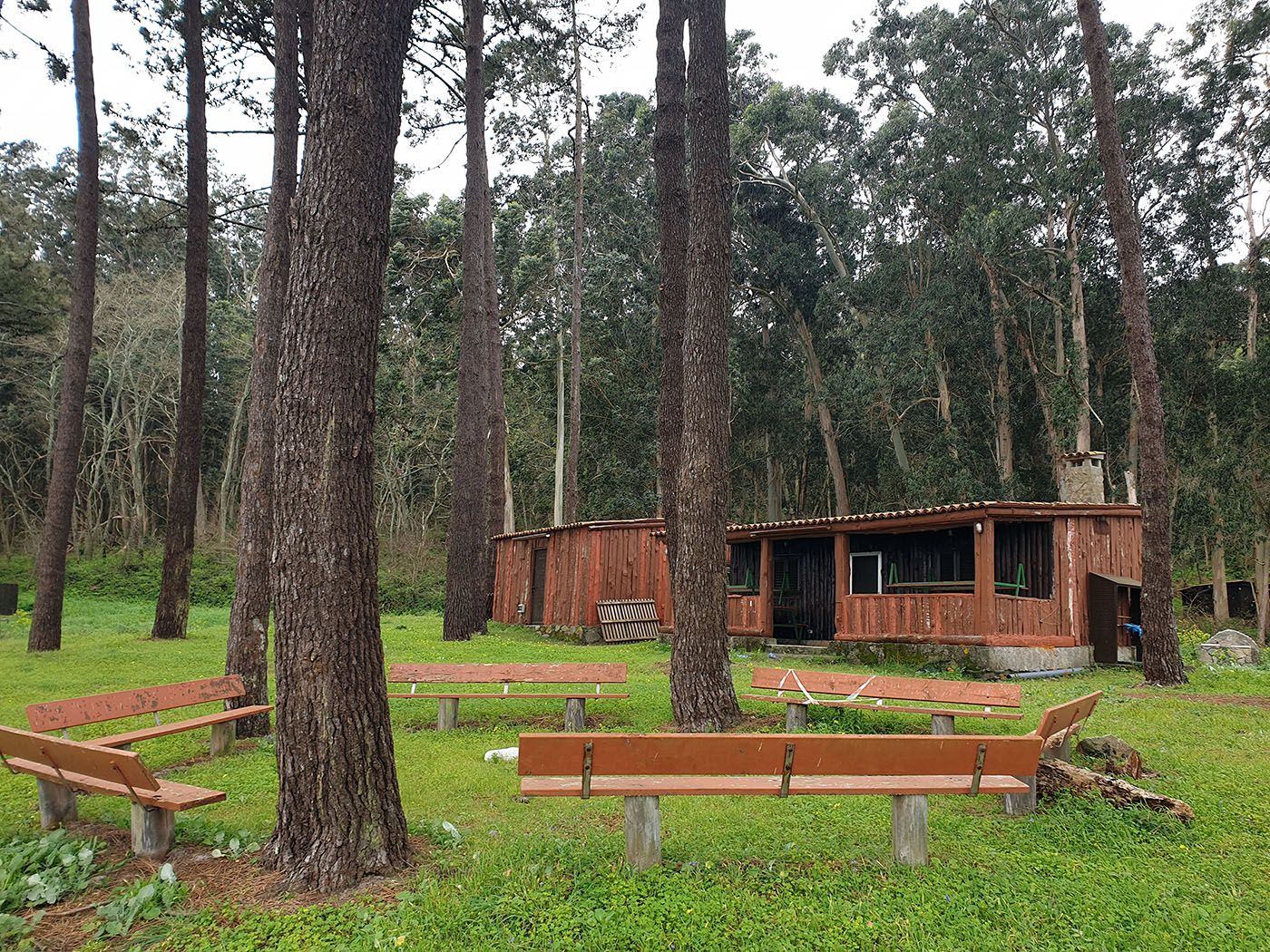 Los “ángeles” del  paraíso natural vigués