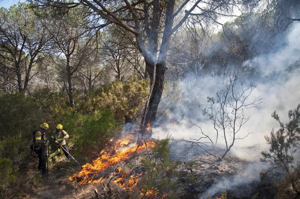 Incendi forestal a Blanes