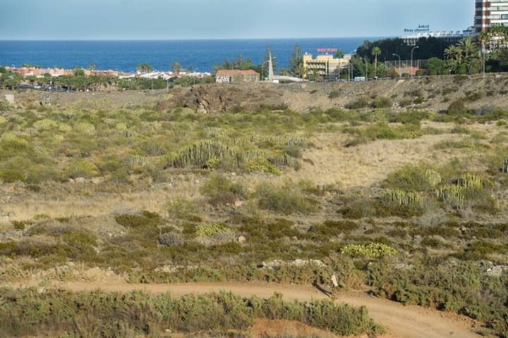 Terrenos en El Veril, donde se va a construir el Siam Park