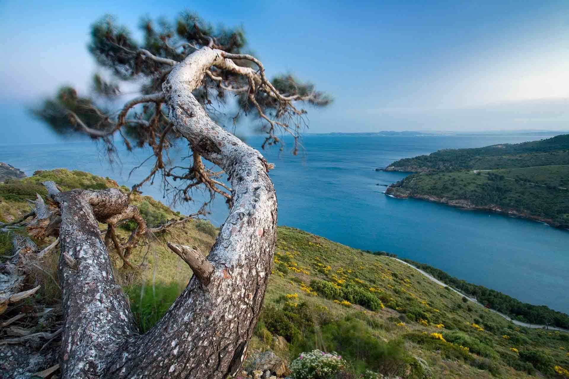 El regne de la Tramuntana