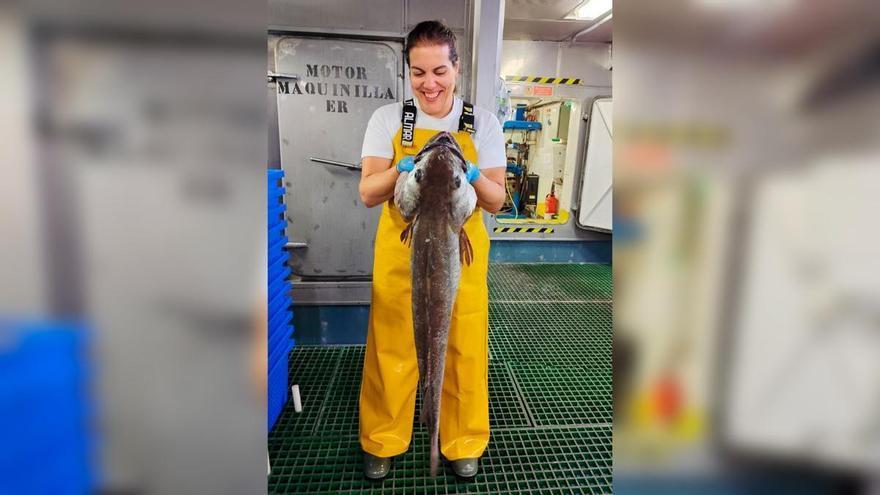 La merluza se expande y cría cada vez más cerca de Asturias: la investigación pionera de la bióloga marina Cristina García