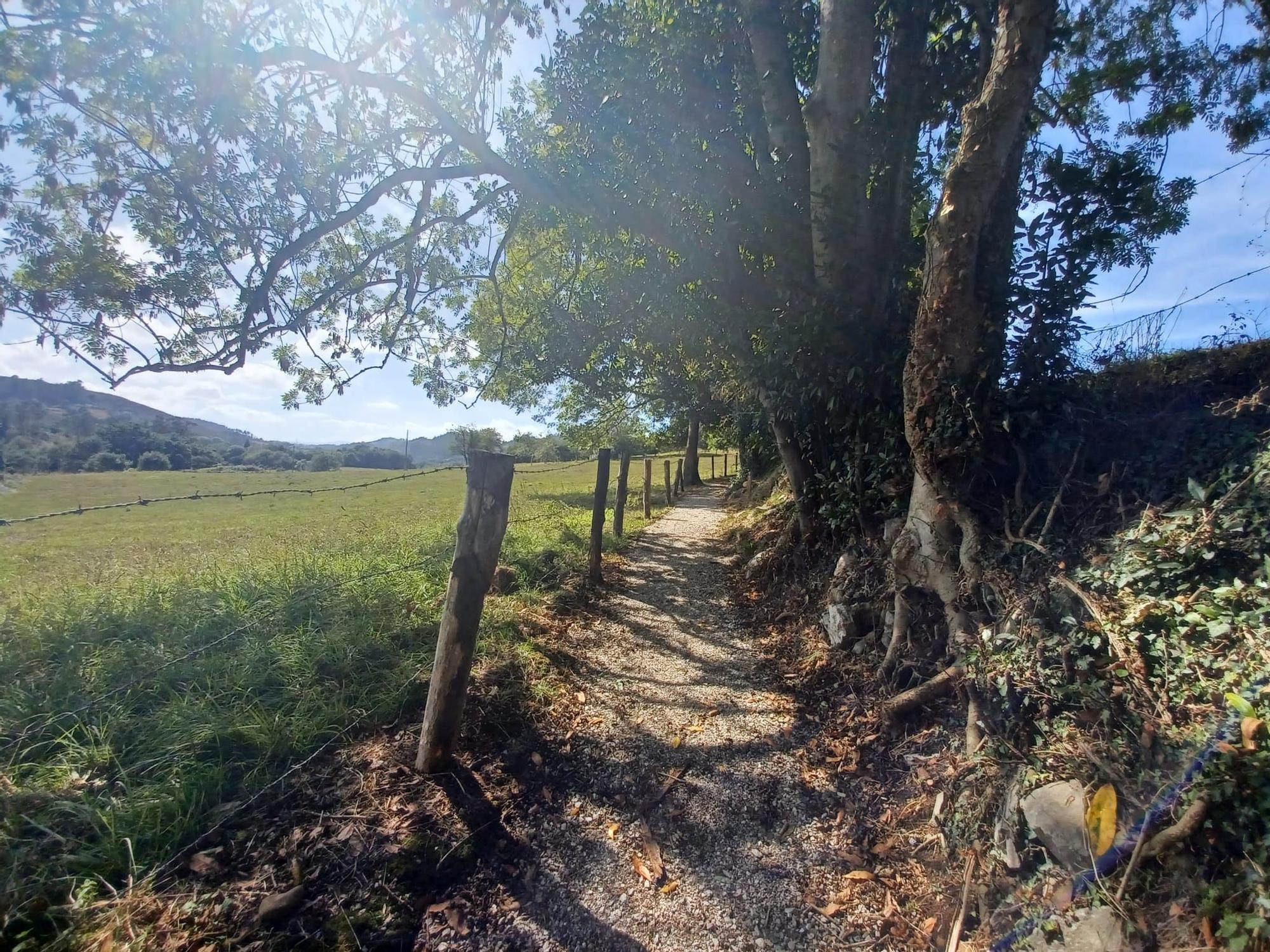 La ruta de Los Covarones, las mil y una estampas de cuento de la senda más visitada de Llanera