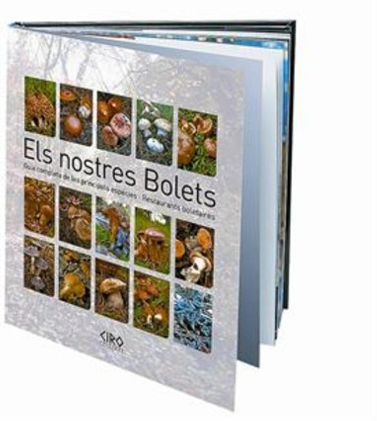 EL PERIÓDICO ensenya com ser un boletaire de primera_MEDIA_1