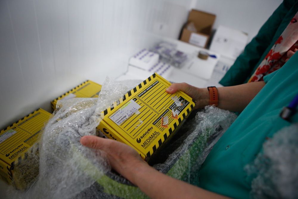 Los viales en las fundas de corcho se introducen en cajas de transporte