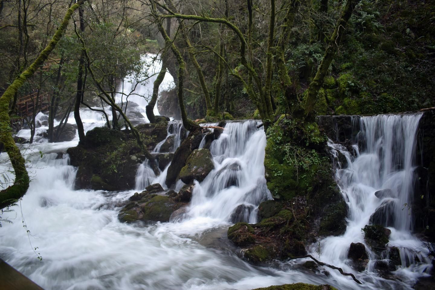 La ruta discurre siempre acompañada del agua