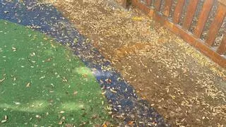Familias denuncian la falta de limpieza en el parque infantil de As Lagoas en A Coruña: "El recinto presenta suciedad, basuras, hojas, colillas y abundantes excrementos de palomas"