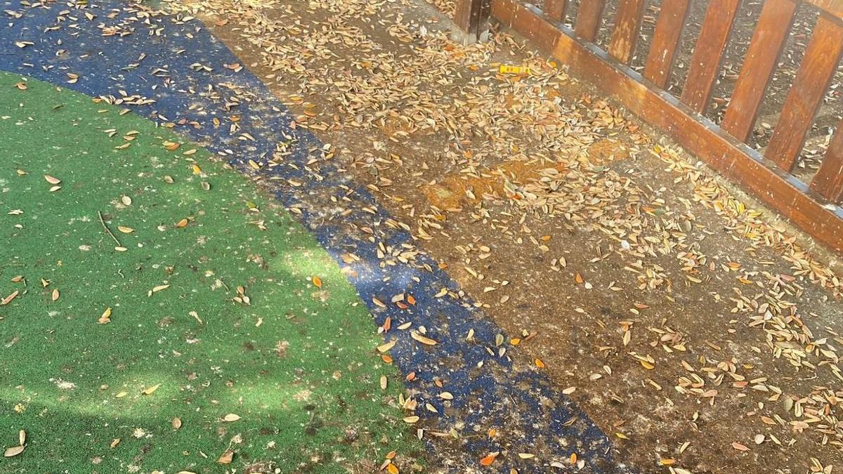 Familias denuncian la falta de limpieza en el parque infantil de As Lagoas en A Coruña: "El recinto presenta suciedad, basuras, hojas, colillas y abundantes excrementos de palomas"