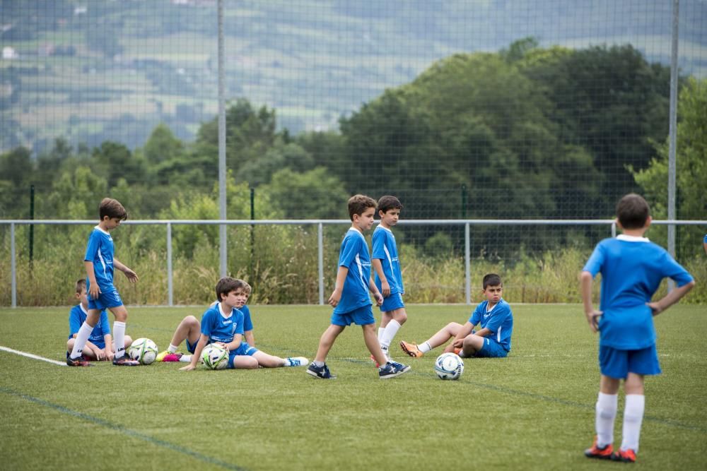 Campus del Real Oviedo