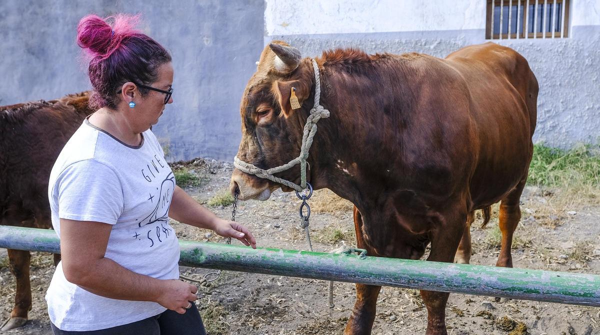 La Fiesta de la Inmaculada en Jinámar