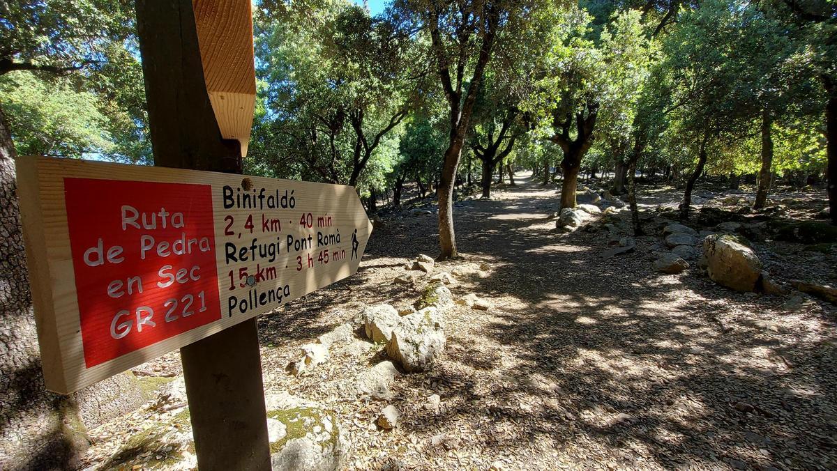 Der Weg verläuft weitgehend durch eine angenehm schattige Waldlandschaft. Der Weg verläuft weitgehend durch eine angenehm schattige Waldlandschaft.