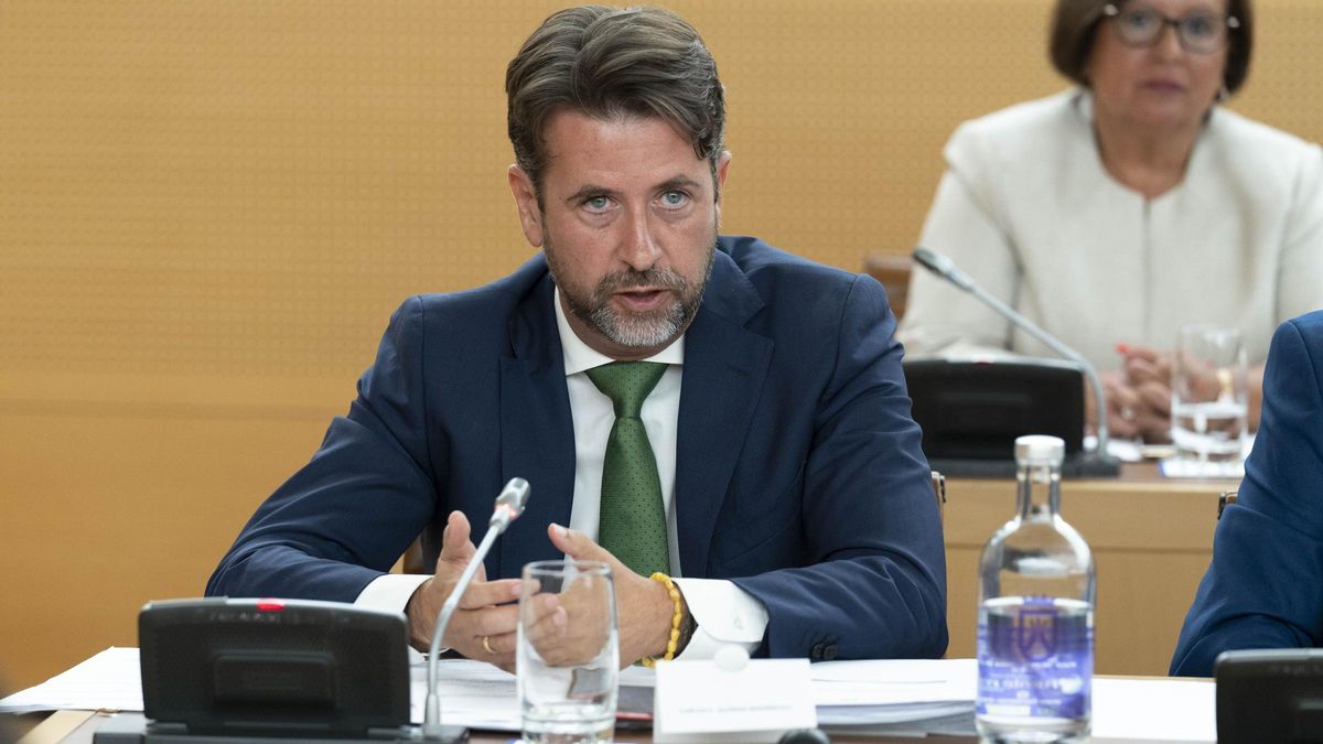 Carlos Alonso, spokesperson for CC-PNC in the Cabildo de Tenerife.