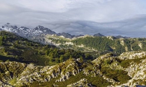 Parque Nacional Picos de Europa, Castilla y León, Asturias y Cantabria