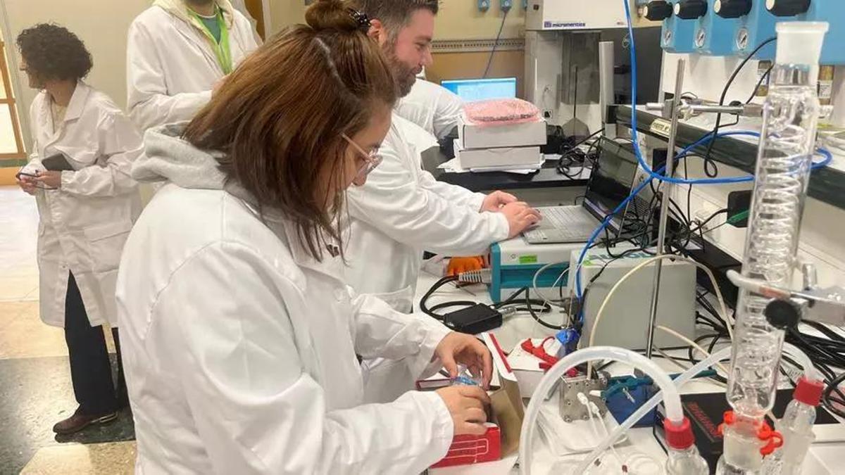 Investigadores del centro ibérico de energía.