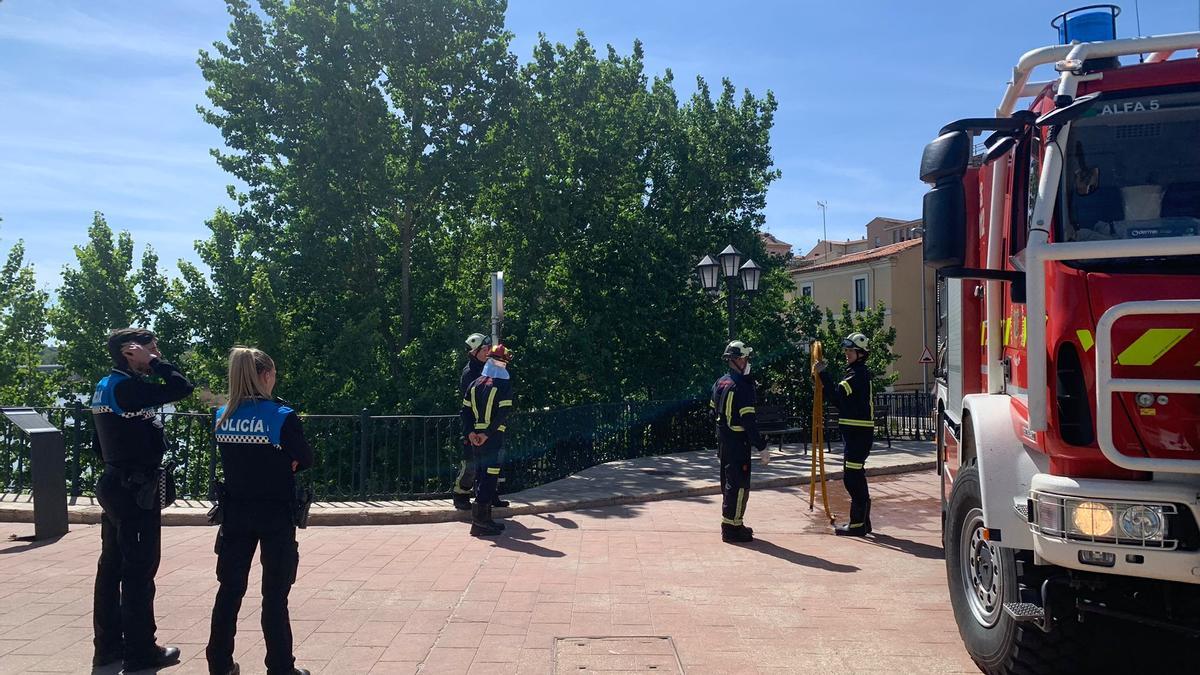 Policía y Bomberos intervienen en un incendio de pelusas junto al Puente de Piedra.