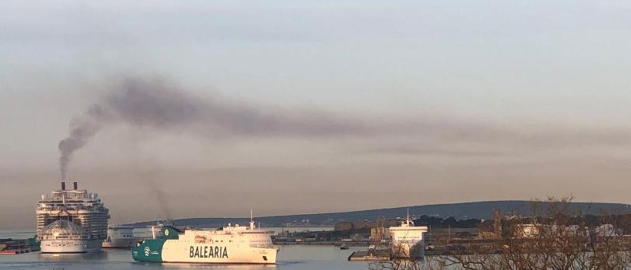 Un crucero en el puerto de Palma.