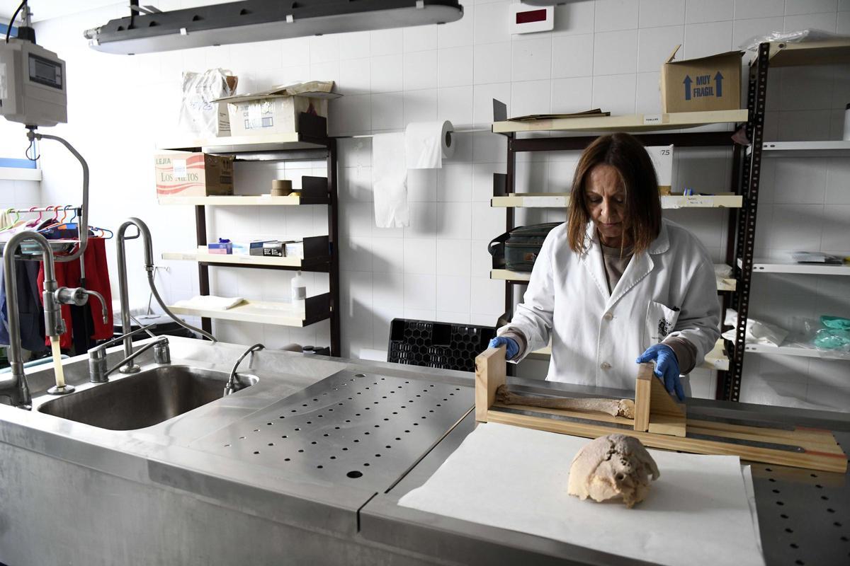 La forense María Faustina Sánchez, en dependencias del Instituto de Medicina Legal de Murcia.