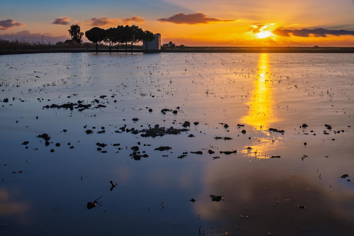 Isla Mayor, Sevilla