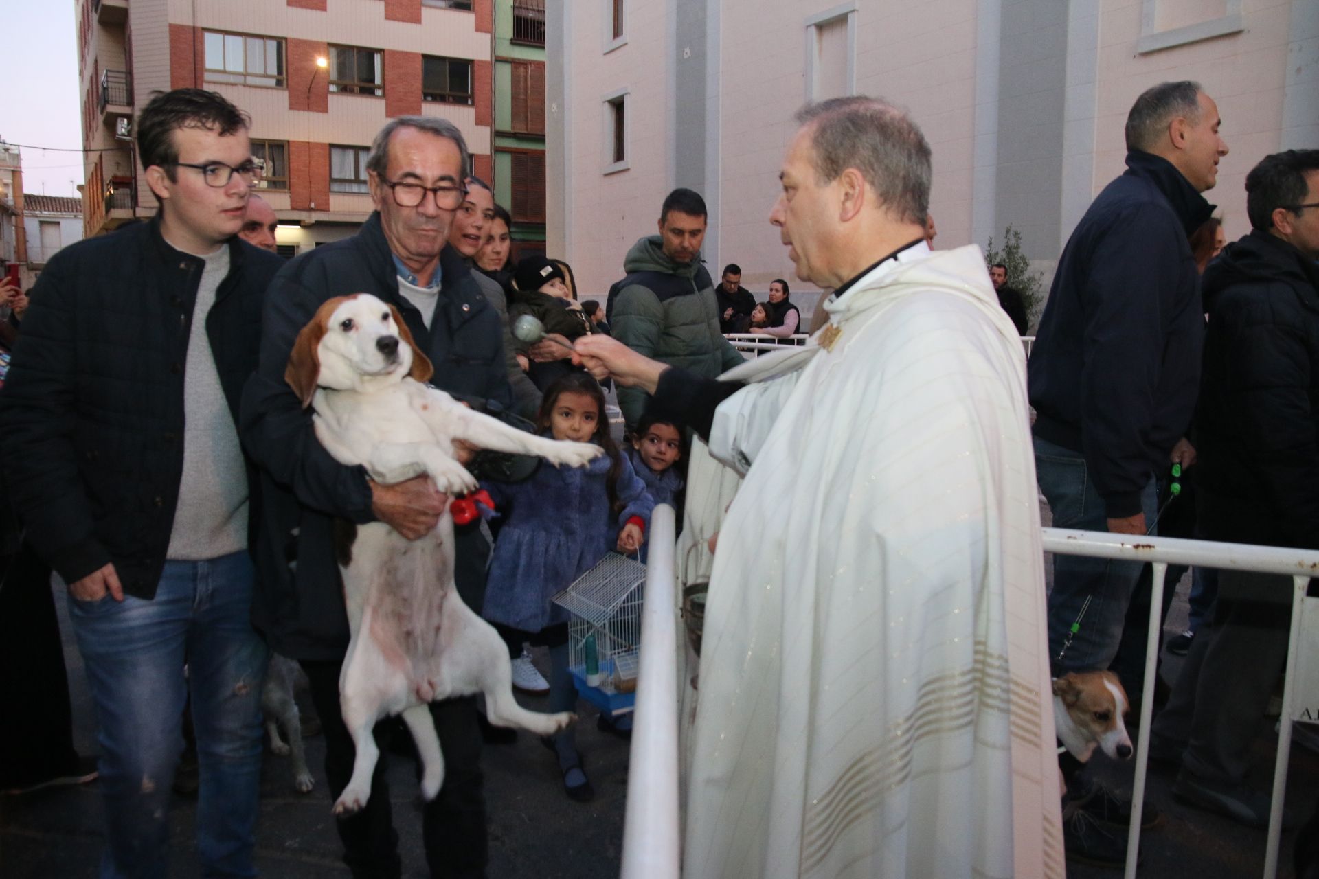 Así han celebrado Sant Antoni en Burriana