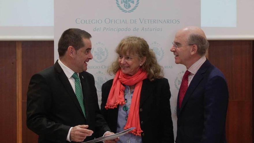 Por la izquierda, Francisco Laviana, María Muñiz y Armando Solís, durante la presentación.