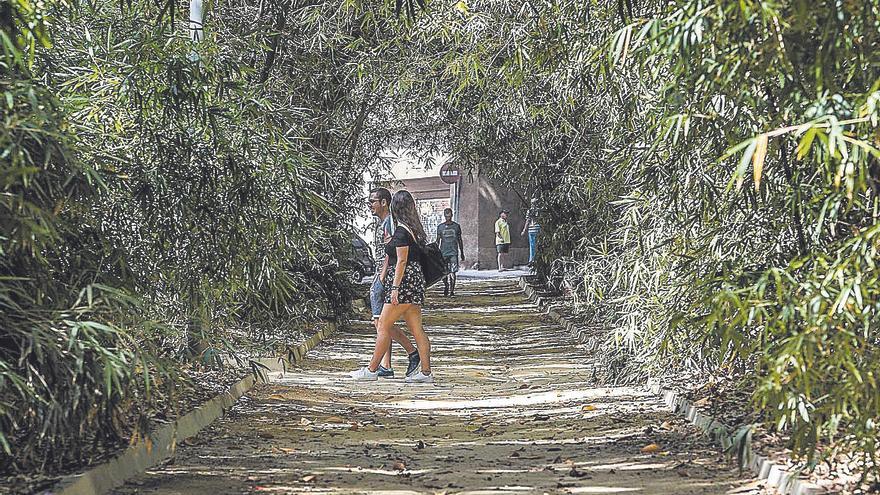 Santa Cruz aumenta un 60% el presupuesto y casi duplica el personal para mejorar sus parques y jardines