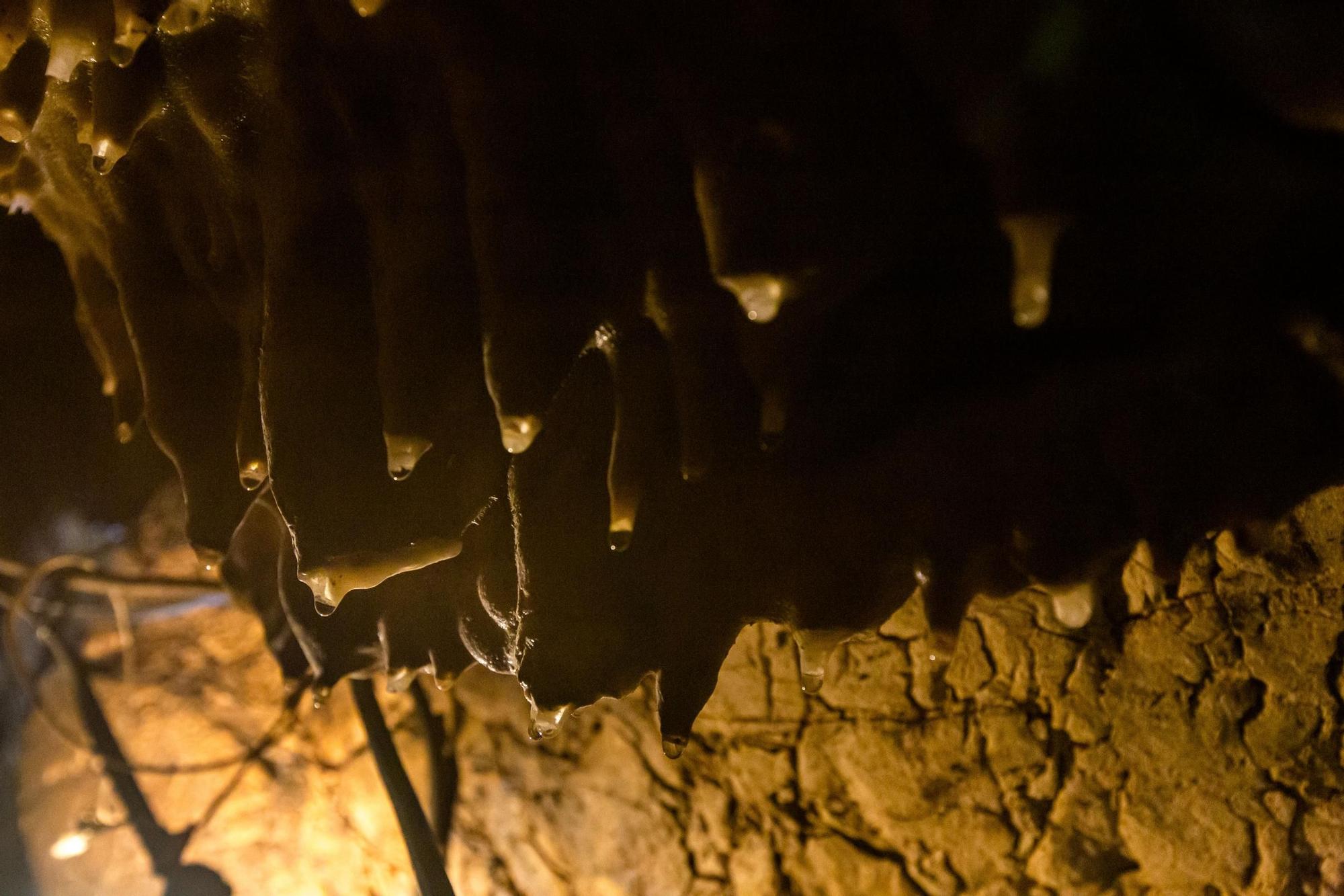 5.000 años enterrados en la Cova del Randero