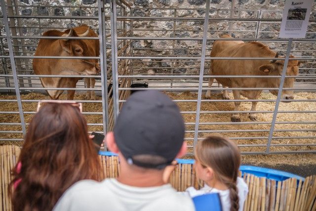 Actos en Santa Cruz por el Día de Canarias