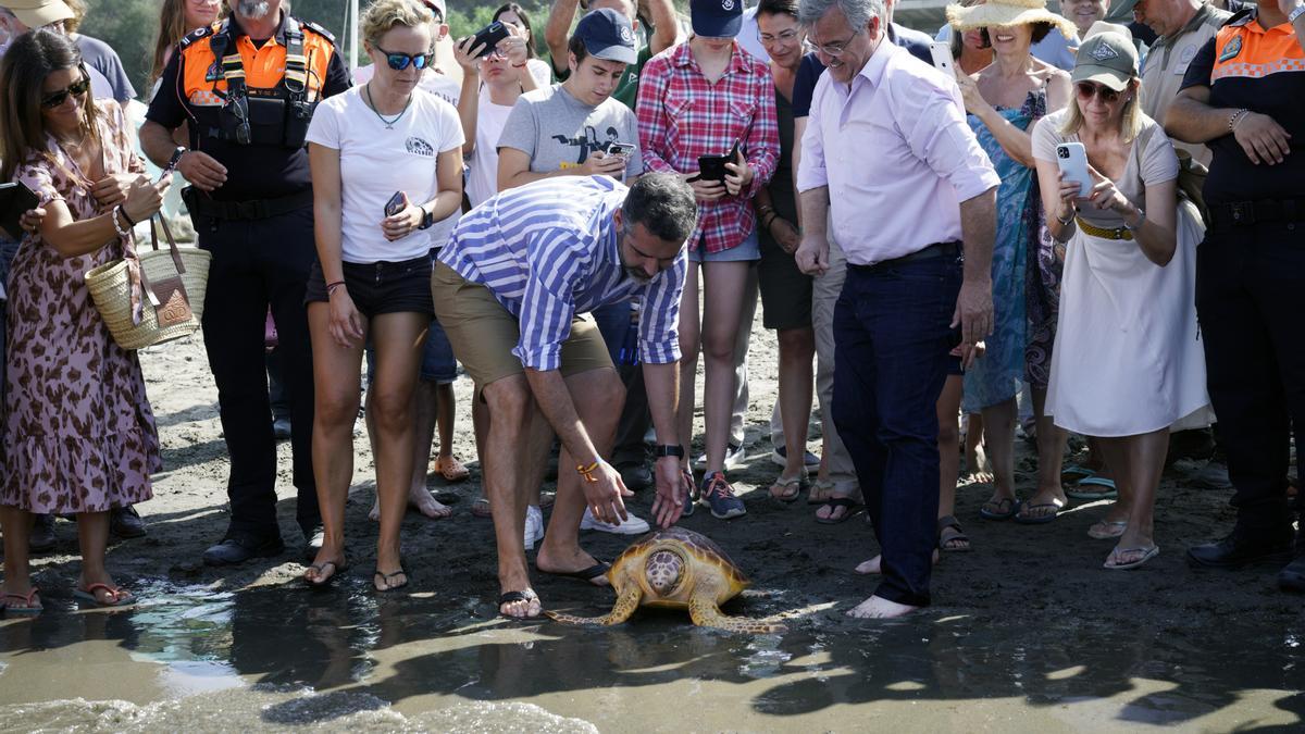 El consejero de Sostenibilidad, Medio Ambiente y Economía Azul, Ramón Fernández-Pacheco, devuelve al mar a una tortuga boba en Estepona.