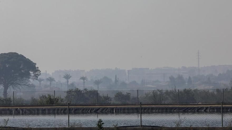 Margalló y ADR plantean la alternativa a las quemas agrícolas en Elche con un sistema de biotriturado de residuos