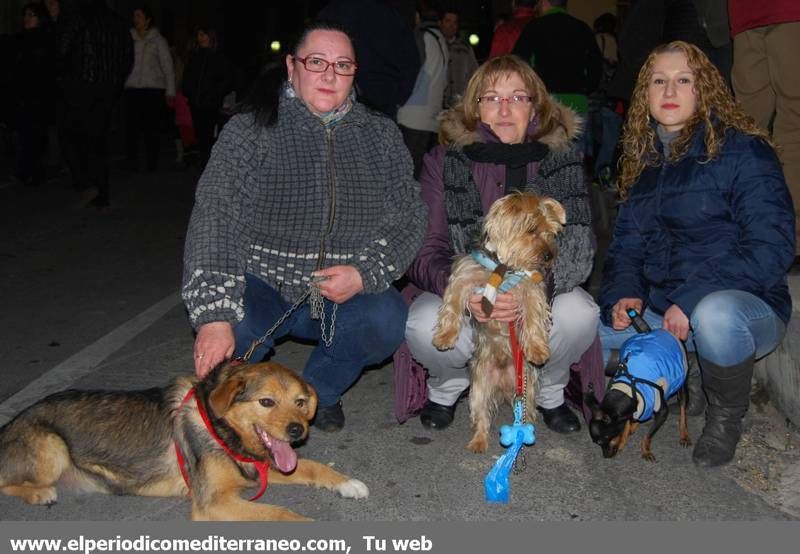 GALERÍA FOTOS - La provincia celebra Sant Antoni