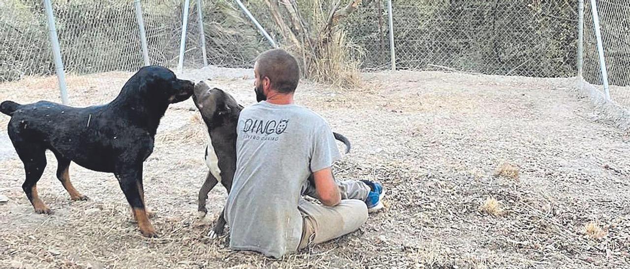 Sergio Carranza, en su centro canino en Cuevas Bajas, donde adiestra y cuida perros.