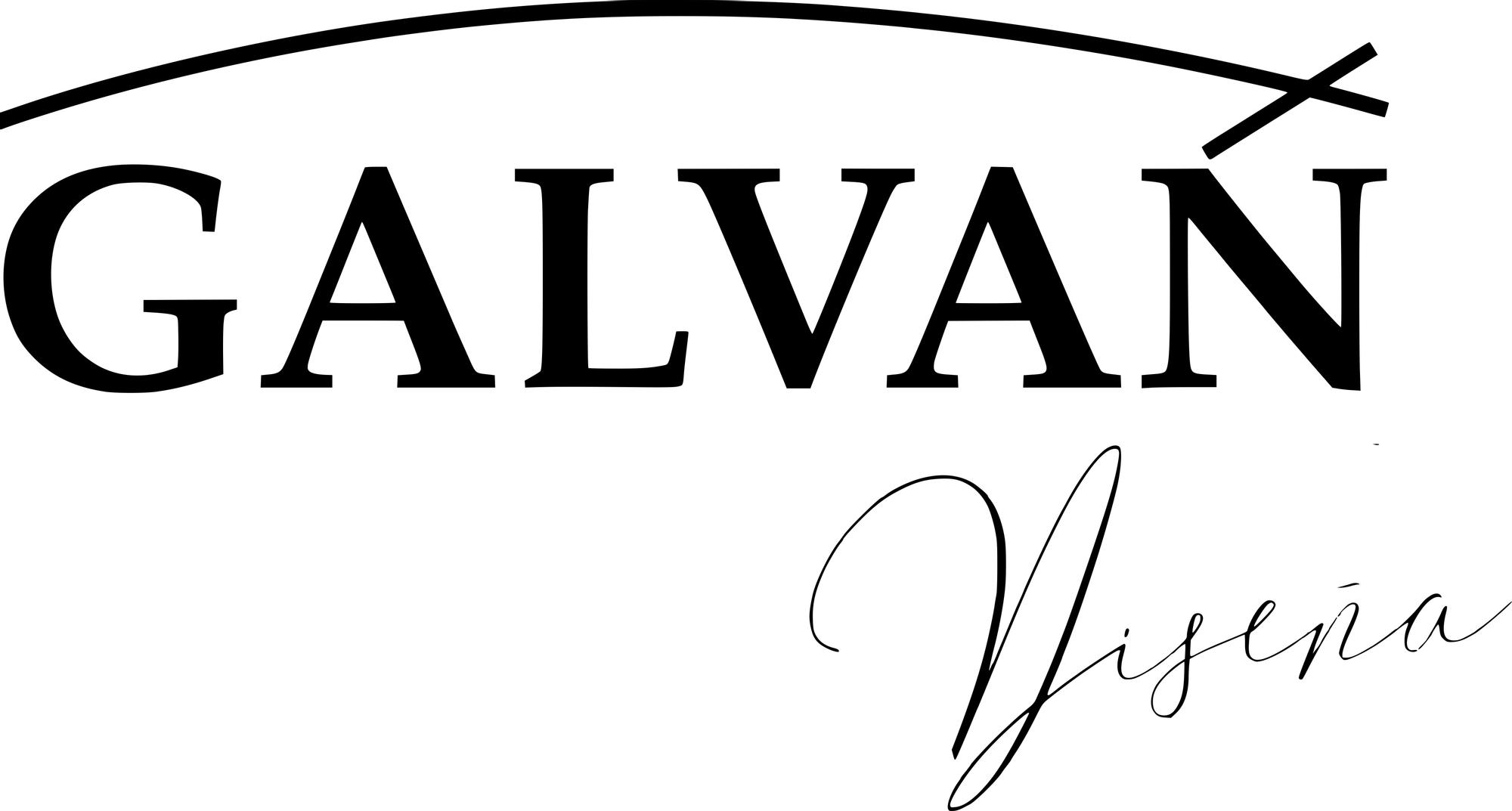 logo galvan