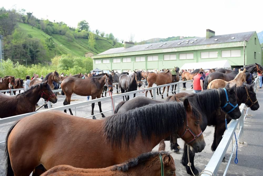 Feria del caballo de Riosa