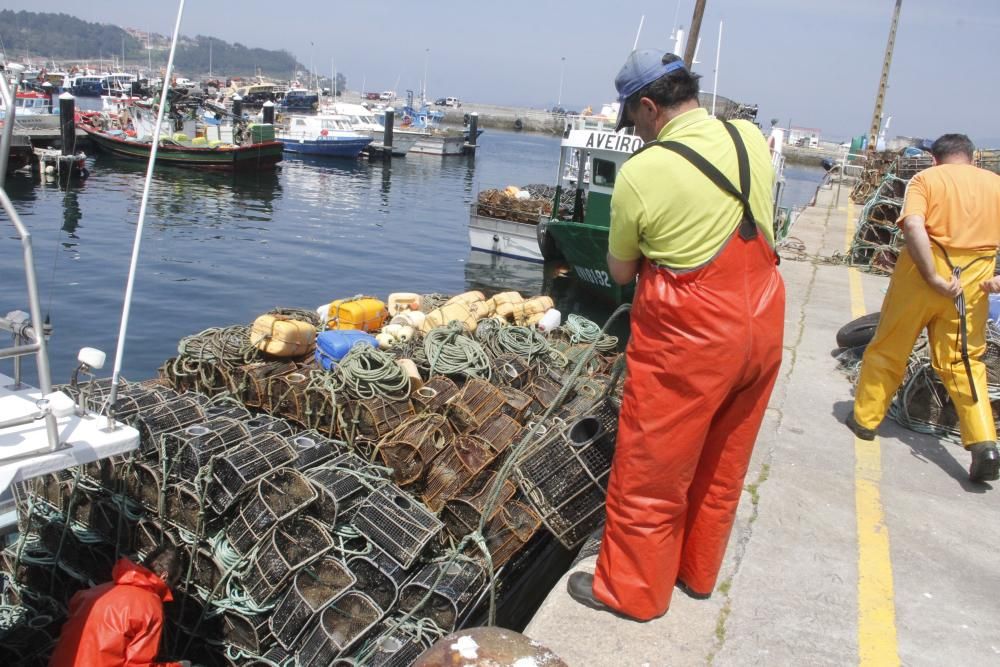 Por las lonjas de O Morrazo han pasado 400.000 kilos y 2,5 millones de euros.