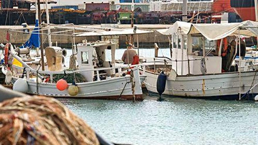 &#039;Llaüts&#039; en el muelle pesquero de Vila.